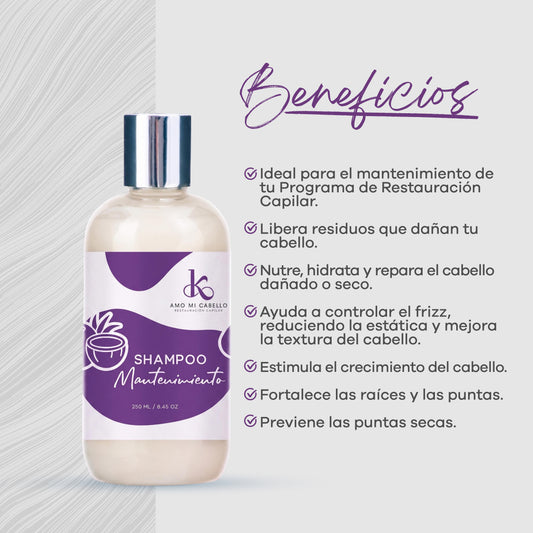 Shampoo de Mantenimiento 250 ml