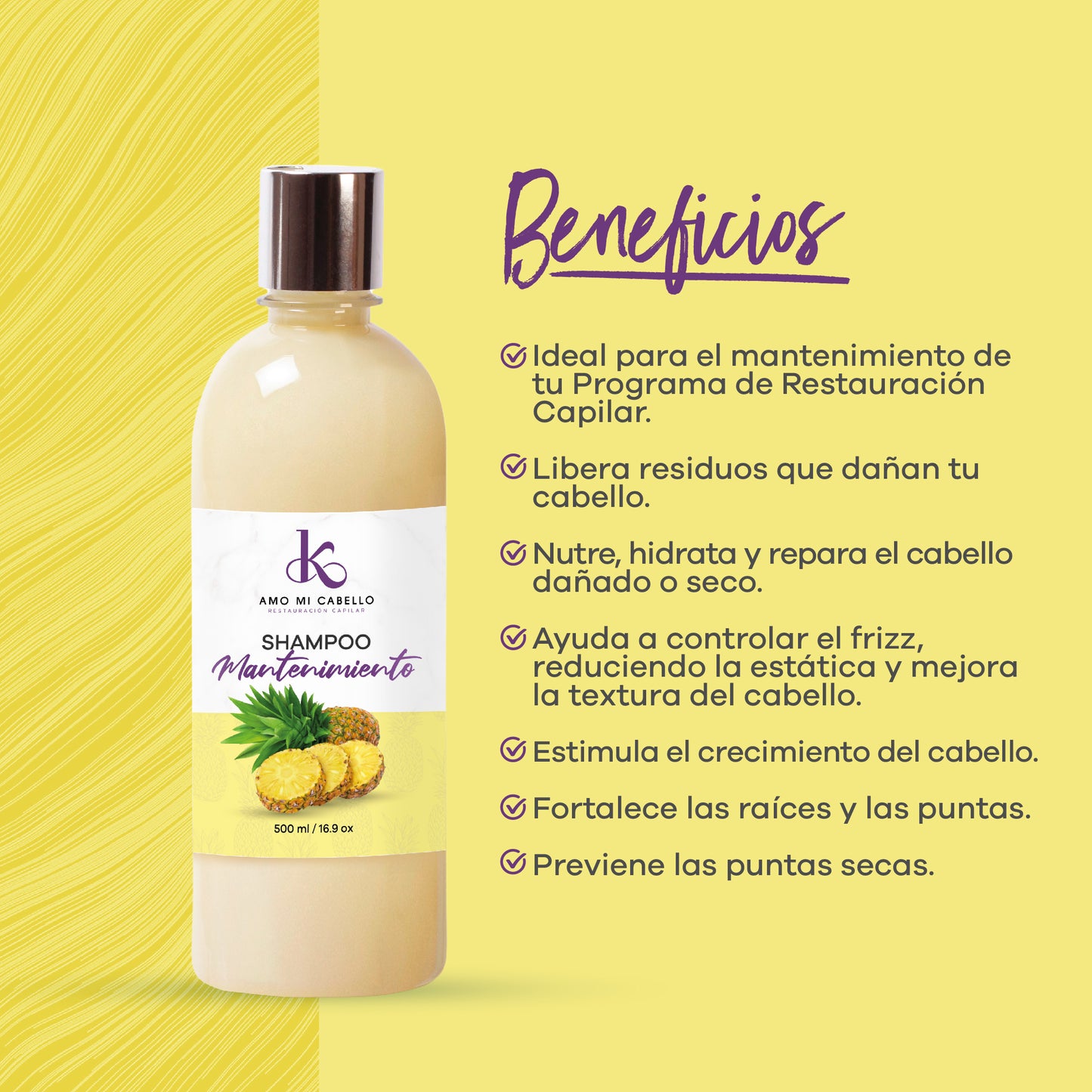 Shampoo de Mantenimiento 500 ml