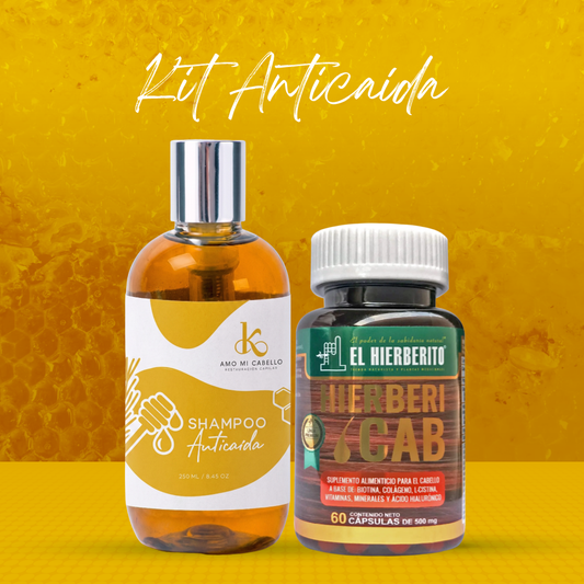 Kit Anticaída